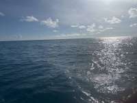 Great day of scuba diving in Key Largo with Rainbow Reef on benwood wreck tropical destiny 2024 09 29 r16604 1