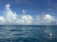 Great day of scuba diving in Key Largo with Rainbow Reef on benwood wreck tropical destiny 2024 09 30 r16612 1
