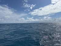 Great day of scuba diving in Key Largo with Rainbow Reef on benwood wreck tropical odyssey 2024 09 02 r16432 1