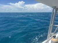 Great day of scuba diving in Key Largo with Rainbow Reef on benwood wreck tropical serenity 2024 09 01 r16424 1