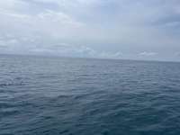 Great day of scuba diving in Key Largo with Rainbow Reef on christmastree cave tropical destiny 2024 09 17 r16534 1
