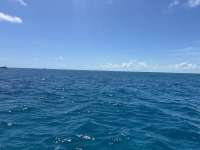 Great day of scuba diving in Key Largo with Rainbow Reef on city of washington tropical serenity 2024 09 11 r16473 1