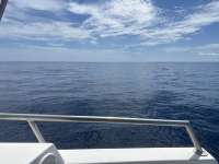 Great day of scuba diving in Key Largo with Rainbow Reef on conch wall north tropical odyssey 2024 09 18 r16544 1