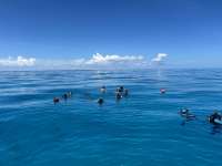 Great day of scuba diving in Key Largo with Rainbow Reef on crf nursery tropical legend 2024 09 13 r16489 1