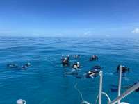 Great day of scuba diving in Key Largo with Rainbow Reef on crf nursery tropical legend 2024 09 13 r16489 4