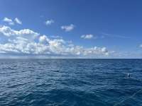 Great day of scuba diving in Key Largo with Rainbow Reef on donut hole tropical odyssey 2024 09 23 r16593 1
