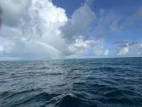 Great day of scuba diving in Key Largo with Rainbow Reef on drift molasses tropical serenity 2024 09 11 r16468 1