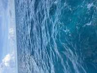 Great day of scuba diving in Key Largo with Rainbow Reef on french reef tropical destiny 2024 09 15 r16508 1
