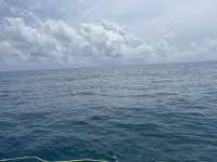 Great day of scuba diving in Key Largo with Rainbow Reef on french reef tropical destiny 2024 09 17 r16533 1