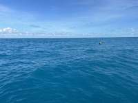 Great day of scuba diving in Key Largo with Rainbow Reef on french reef tropical destiny 2024 09 29 r16606 1