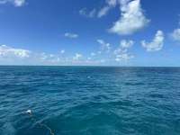 Great day of scuba diving in Key Largo with Rainbow Reef on hourglass tropical destiny 2024 09 07 r16458 1