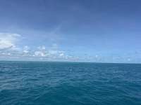 Great day of scuba diving in Key Largo with Rainbow Reef on hourglass tropical destiny 2024 09 30 r16621 1