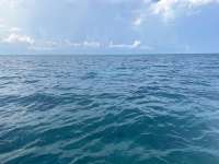 Great day of scuba diving in Key Largo with Rainbow Reef on molasses reef tropical destiny 2024 09 16 r16522 1
