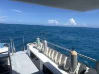 Great day of scuba diving in Key Largo with Rainbow Reef on molasses reef tropical legend 2024 09 28 r16602 1