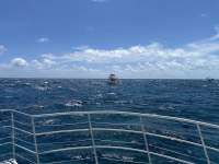 Great day of scuba diving in Key Largo with Rainbow Reef on north star tropical odyssey 2024 09 01 r16425 1