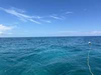 Great day of scuba diving in Key Largo with Rainbow Reef on snapper ledge tropical destiny 2024 09 16 r16518 1
