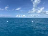 Great day of scuba diving in Key Largo with Rainbow Reef on spiegel grove tropical legend 2024 09 30 r16619 1