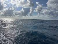 Great day of scuba diving in Key Largo with Rainbow Reef on spiegel grove tropical odyssey 2024 09 02 r16429 1
