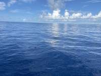 Great day of scuba diving in Key Largo with Rainbow Reef on uscgc duane tropical destiny 2024 09 14 r16496 1