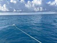 Great day of scuba diving in Key Largo with Rainbow Reef on uscgc duane tropical legend 2024 09 30 r16614 1