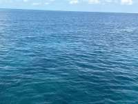 Great day of scuba diving in Key Largo with Rainbow Reef on woodys tropical destiny 2024 09 17 r16536 1