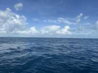 Great day of scuba diving in Key Largo with Rainbow Reef on woodys tropical destiny 2024 09 30 r16617 1