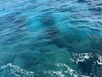 Great day of scuba diving in Key Largo with Rainbow Reef on aquarium tropical destiny 2025 04 22 r17889 1