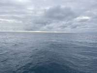 Great day of scuba diving in Key Largo with Rainbow Reef on benwood wreck tropical destiny 2025 04 11 r17817 1