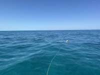 Great day of scuba diving in Key Largo with Rainbow Reef on benwood wreck tropical destiny 2025 04 15 r17848 1