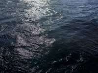 Great day of scuba diving in Key Largo with Rainbow Reef on benwood wreck tropical destiny 2025 04 16 r17855 1