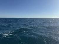 Great day of scuba diving in Key Largo with Rainbow Reef on benwood wreck tropical destiny 2025 04 16 r17855 2
