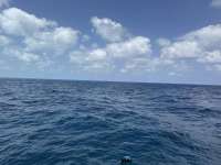 Great day of scuba diving in Key Largo with Rainbow Reef on benwood wreck tropical destiny 2025 04 21 r17886 1