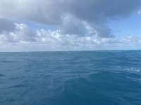 Great day of scuba diving in Key Largo with Rainbow Reef on benwood wreck tropical legend 2025 04 06 r17792 1