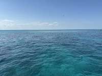 Great day of scuba diving in Key Largo with Rainbow Reef on christ statue tropical destiny 2025 04 16 r17863 1
