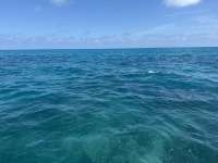 Great day of scuba diving in Key Largo with Rainbow Reef on double north tropical destiny 2025 04 01 r17780 1