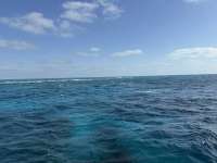 Great day of scuba diving in Key Largo with Rainbow Reef on eagle ray alley tropical destiny 2025 04 22 r17888 1