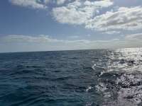 Great day of scuba diving in Key Largo with Rainbow Reef on eagle ray alley tropical destiny 2025 04 22 r17888 2