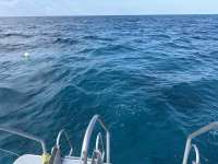 Great day of scuba diving in Key Largo with Rainbow Reef on french reef tropical destiny 2025 04 17 r17866 1