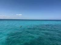 Great day of scuba diving in Key Largo with Rainbow Reef on grecian rocks tropical destiny 2025 04 16 r17862 1
