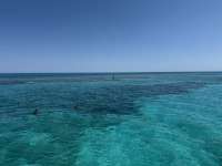 Great day of scuba diving in Key Largo with Rainbow Reef on grecian rocks tropical destiny 2025 04 16 r17862 2