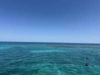 Great day of scuba diving in Key Largo with Rainbow Reef on grecian rocks tropical destiny 2025 04 16 r17862 3