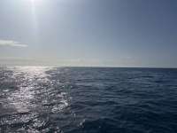 Great day of scuba diving in Key Largo with Rainbow Reef on hourglass tropical destiny 2025 04 10 r17808 1