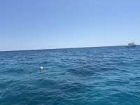 Great day of scuba diving in Key Largo with Rainbow Reef on north star tropical destiny 2025 04 12 r17828 1