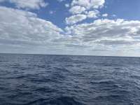 Great day of scuba diving in Key Largo with Rainbow Reef on spiegel grove tropical odyssey 2025 04 14 r17842 1