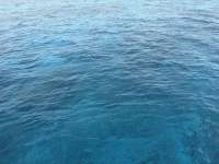 Great day of scuba diving in Key Largo with Rainbow Reef on turtle ledges tropical destiny 2025 04 11 r17820 1