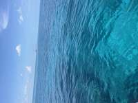 Great day of scuba diving in Key Largo with Rainbow Reef on aquarium tropical destiny 2025 08 25 r18716 1