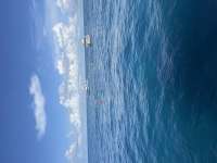 Great day of scuba diving in Key Largo with Rainbow Reef on benwood wreck tropical destiny 2025 08 01 r18540 1