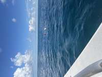 Great day of scuba diving in Key Largo with Rainbow Reef on benwood wreck tropical serenity 2025 08 15 r18658 1