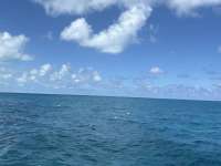 Great day of scuba diving in Key Largo with Rainbow Reef on christ statue tropical legend 2025 08 12 r18623 1