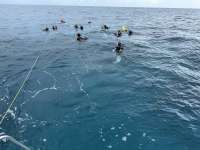 Great day of scuba diving in Key Largo with Rainbow Reef on city of washington tropical serenity 2025 08 31 r18751 1